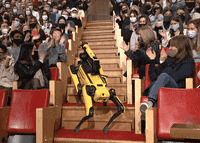 Tonight Show Star GIF by The Tonight Show Starring Jimmy Fallon