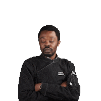 dealerdecook food cook de lyon Sticker