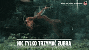 Piwo GIF by Zubr