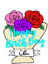 Happy Birthday Bday Sticker by ilu098