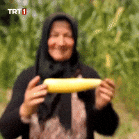 Hungry Corn GIF by TRT