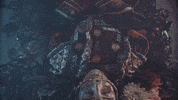 elephantHhart music heart edm elephant GIF