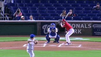 Congressional Baseball Game GIF by GIPHY News