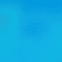 cartoon network raven GIF