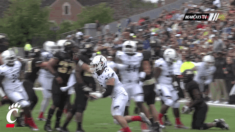happy lets go GIF by University of Cincinnati Athletics