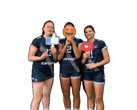 Volleyball Love Sticker by Neptunes_VolleyBall