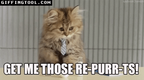 giphyupload GIF