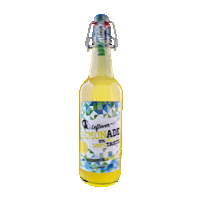 DMCLimoncello monkey lemon liquor dmc Sticker