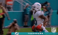 Miami Dolphins Football GIF by NFL