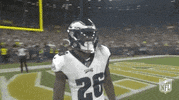 Philadelphia Eagles Football GIF by NFL
