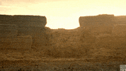 top gear hay GIF by BBC America