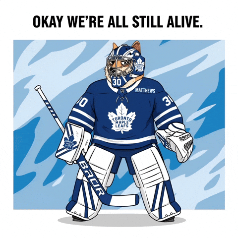 Toronto Maple Leafs Hockey GIF by Doge Pound