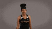 Cal State La Track GIF by Cal State LA Golden Eagles