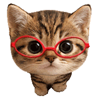 Cat Go Sticker