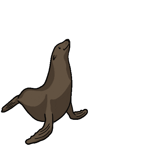 VisitMorroBayCA giphyupload sea lion morro bay morrobay Sticker