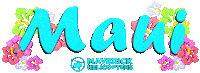 Hawaii Aloha Sticker by Maverick Helicopters