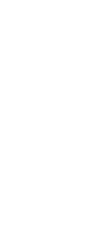 kings mtb Sticker by Continental Bicycle Tires