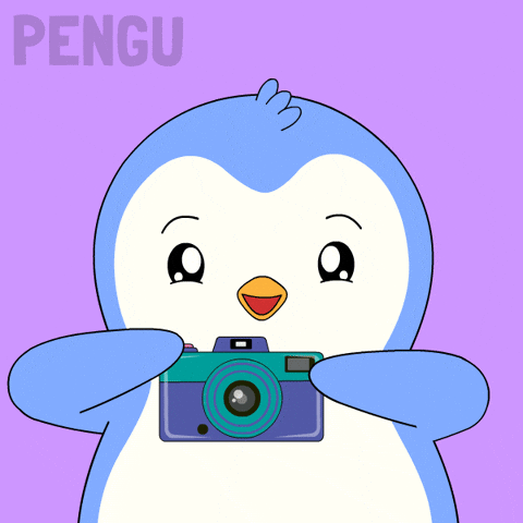 Penguin Smile GIF by Pudgy Penguins