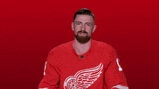Red Wings Sport GIF by Detroit Red Wings