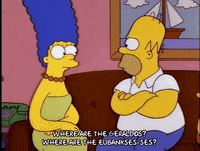 homer simpson episode 6 GIF