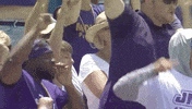 James Madison Women GIF by NCAA Championships