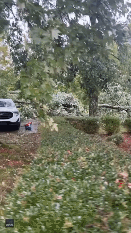 Severe Storm Damages Alabama Home