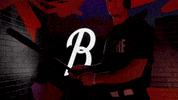 Sport Party GIF by Baltimore Orioles