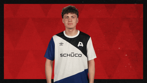 Arminia Bielefeld Football GIF by Bundesliga