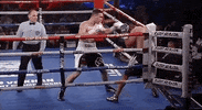 technical knock out top rank GIF by Top Rank Boxing