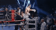 technical knock out top rank GIF by Top Rank Boxing