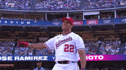 Juan Soto Sport GIF by MLB