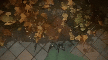 Angel GIF by Topshelf Records