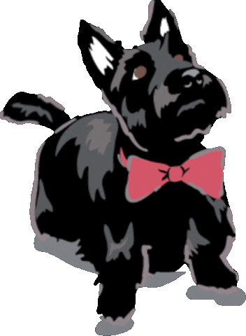 Fetch Best In Show Sticker by Vera Bradley