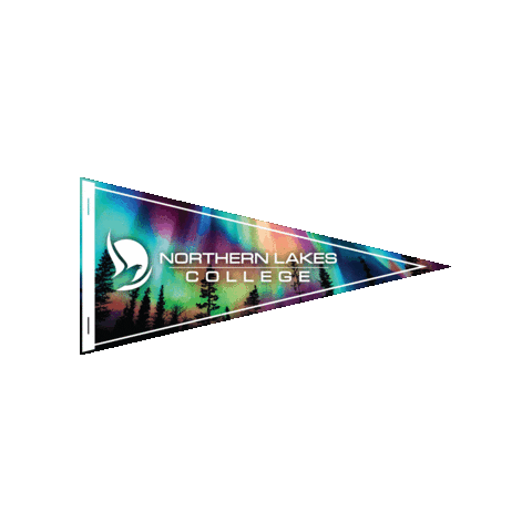 Nlcgrad Sticker by NLC