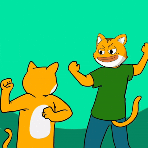 zeekzksync giphyupload cat money crypto GIF