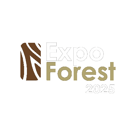 Arquitectura Expo Sticker by FEXPOCRUZ