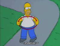 homer simpson GIF