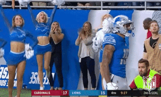 Detroit Lions Football GIF by NFL