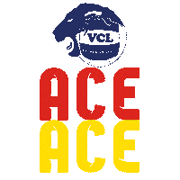 Volleyball Serve Sticker by Volley Club Leoni