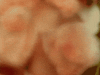 Super 8 Vintage GIF by Tomorrow Television