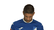 Croatia Hoffenheim Sticker by Bundesliga