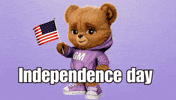 Independence GIF by TOY