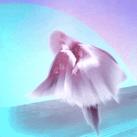 hair bounce GIF by hamasakihaus