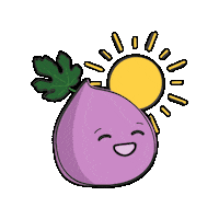 fighealthco happy sun fig figs Sticker