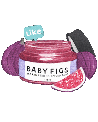 PaddingtonJams figs paddington jams baby figs marinated figs Sticker