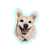 Psitwor dog doggo happy dog gluten Sticker