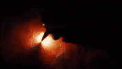 Fire Comment GIF by Bashar