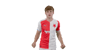 Come On Yes Sticker by SK Slavia Praha