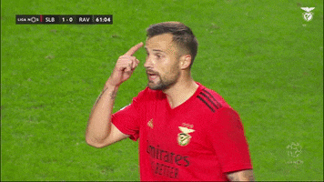 Are You Insane Sl Benfica GIF by Sport Lisboa e Benfica