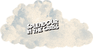 Sitg Sticker by Splendour in the Grass
